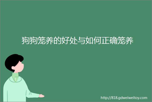 狗狗笼养的好处与如何正确笼养