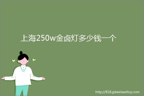 上海250w金卤灯多少钱一个