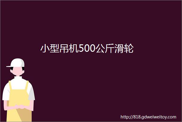 小型吊机500公斤滑轮