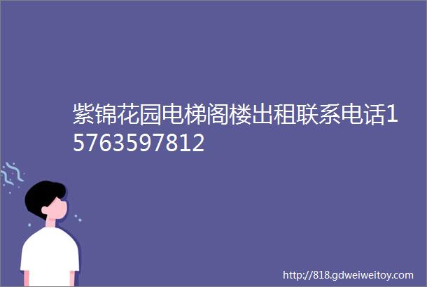 紫锦花园电梯阁楼出租联系电话15763597812