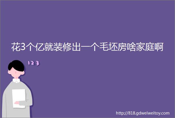 花3个亿就装修出一个毛坯房啥家庭啊